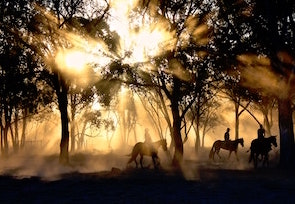 Horse riders in the setting sun