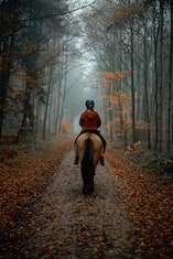 A horse rider on a bridle path: a narrow track not suitable for cars