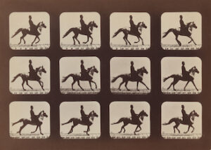 A reel of motion-picture footage, showing separate frames depicting a galloping horse