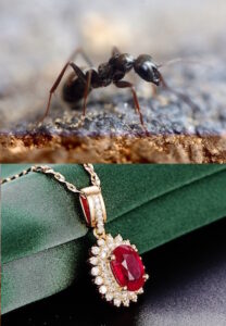 Two images: the upper image is an ant, the lower image is a gold pendant with a large central ruby, surrounded by two rings of diamonds